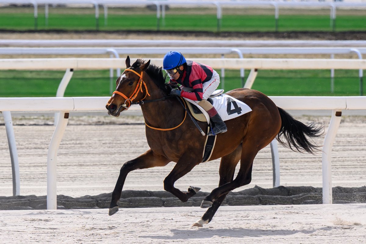 とむお tweet media