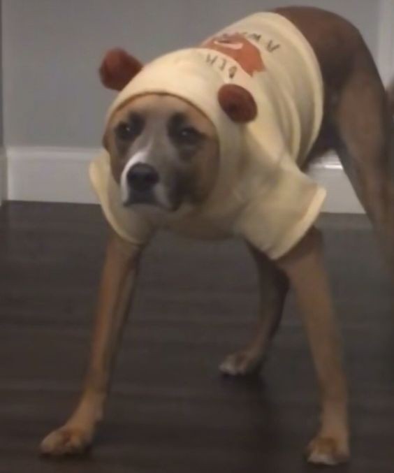 radamantis17 tweet media