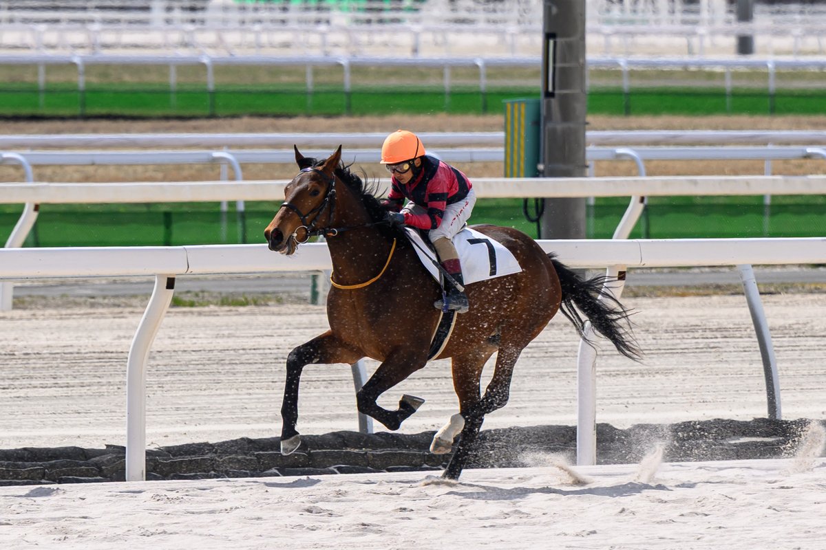 とむお tweet media