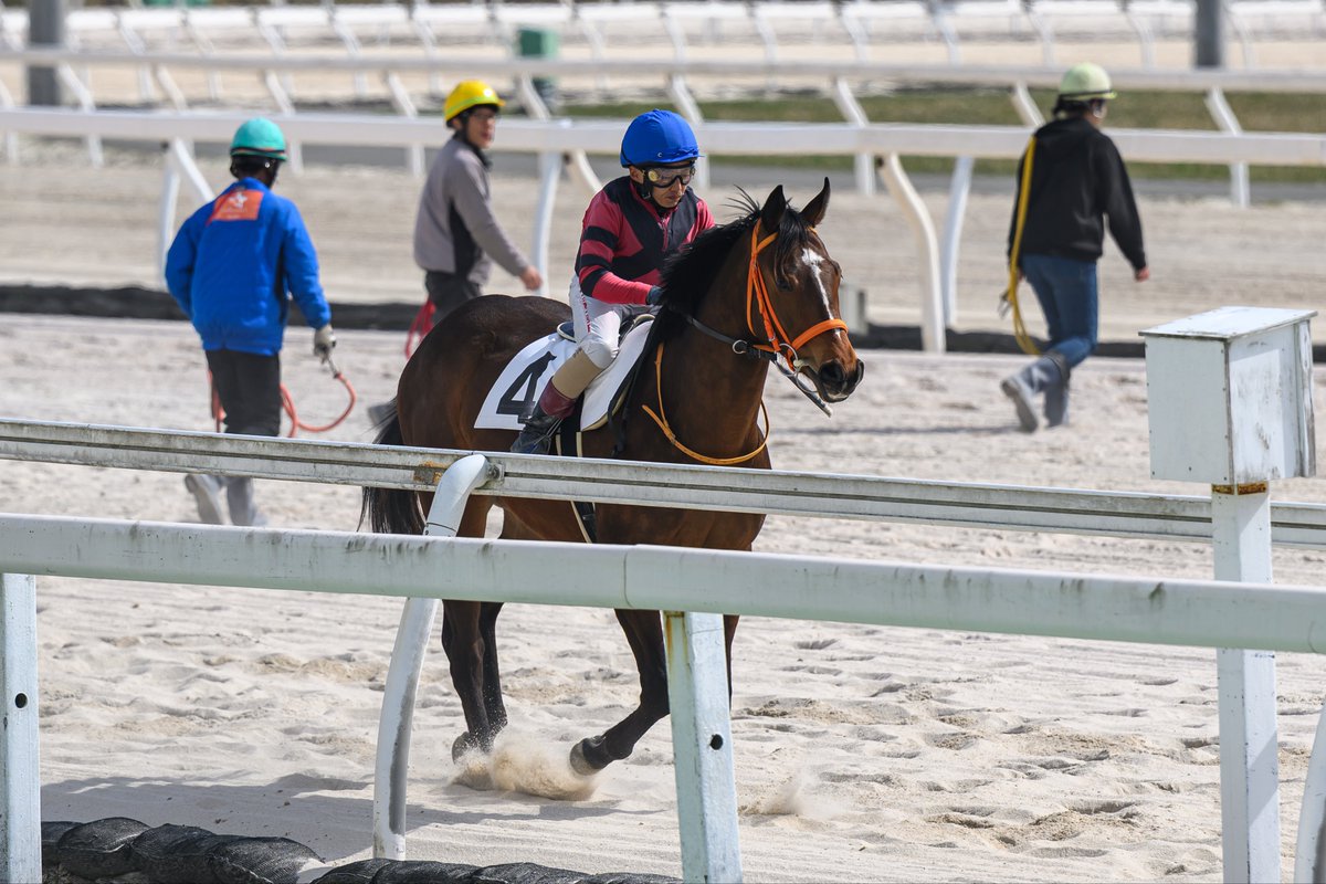 とむお tweet media