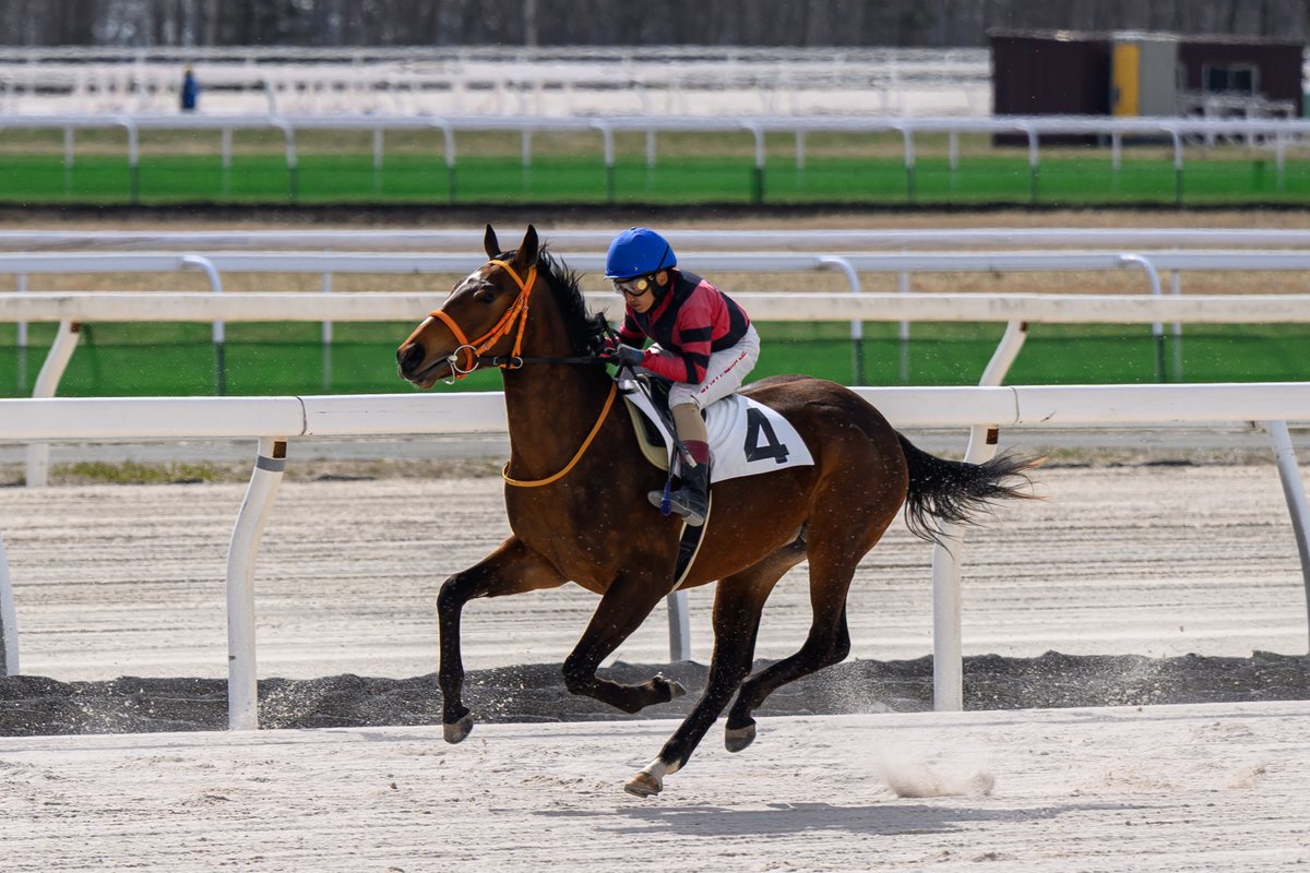 とむお tweet media