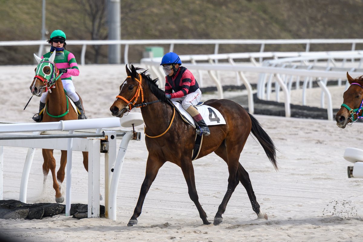 とむお tweet media