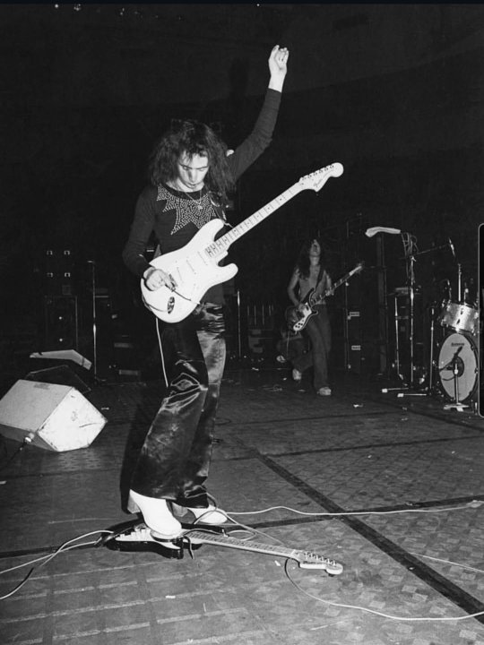 Candice Night tweet media