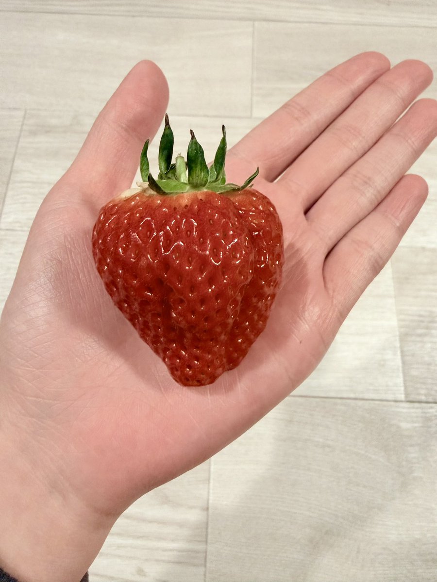 ひなまる🐶🏖 ♡⃛ゆっくりフォロバします♡⃛ tweet media