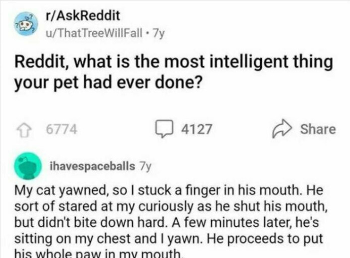 Eric Alper 🎧 tweet media