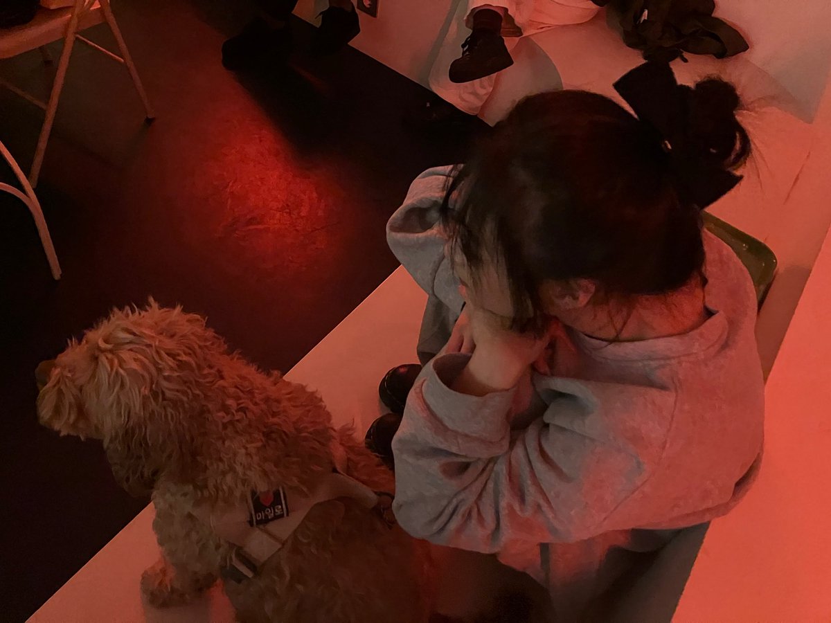 BABYMONSTER PICS tweet media