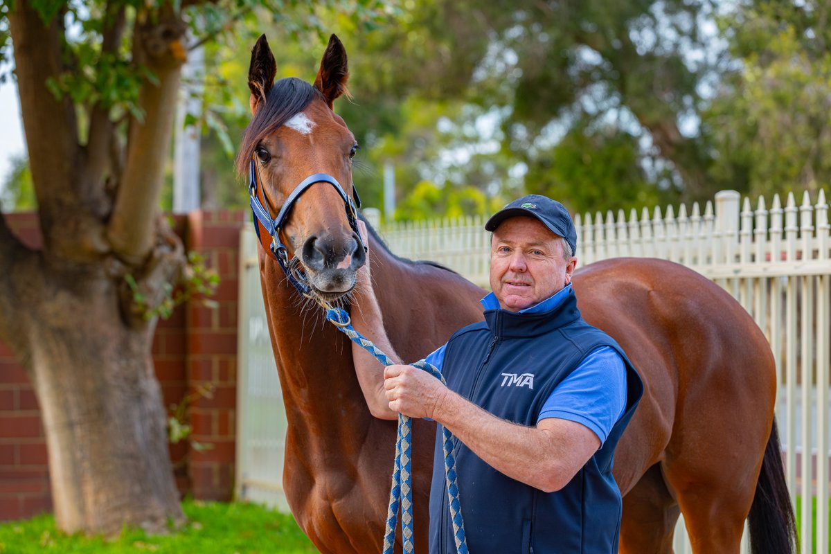 TAB_touch's tweet photo. "She's a Group 1 filly in waiting" 🏇

Big wraps by @tmaracing for the TABtouch slot holder ahead of Saturday's $5 million race 👀

Luana Miss is currently paying $9 to win and $3 to place on the TABtouch app 📱

Discover The Western Trilogy: https://t.co/59fBEAlUp8 https://t.co/oDXlvJwTzF