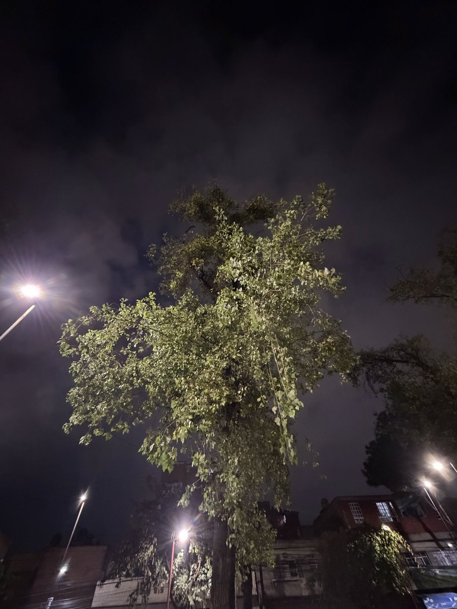 EDNA ♡ tweet media