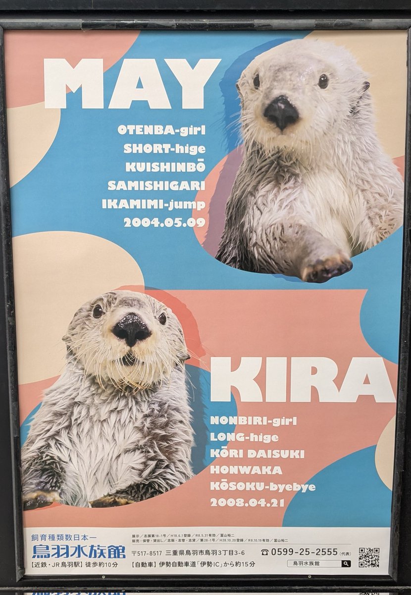 しもん❕ tweet media