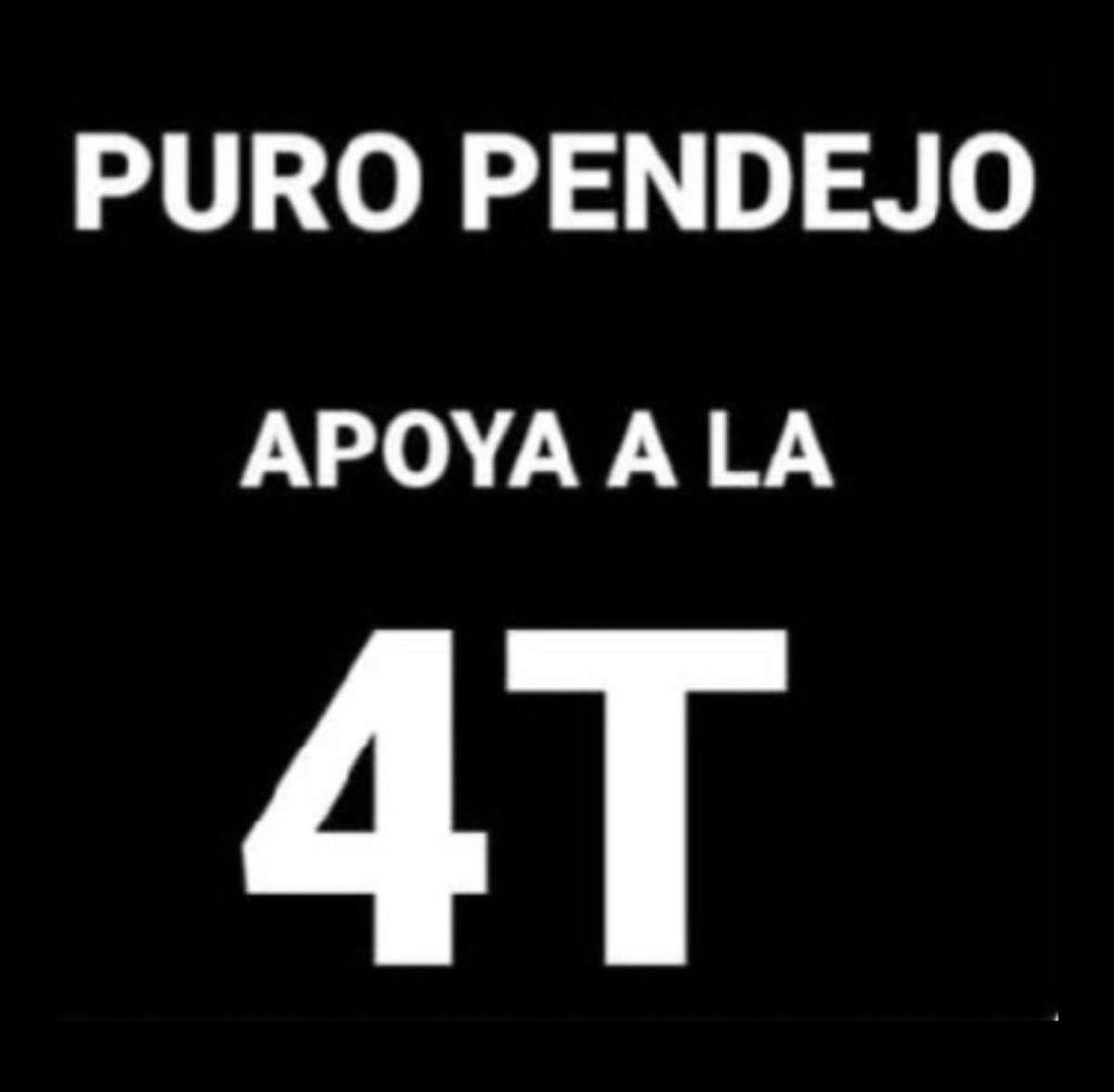 Alexander tweet media