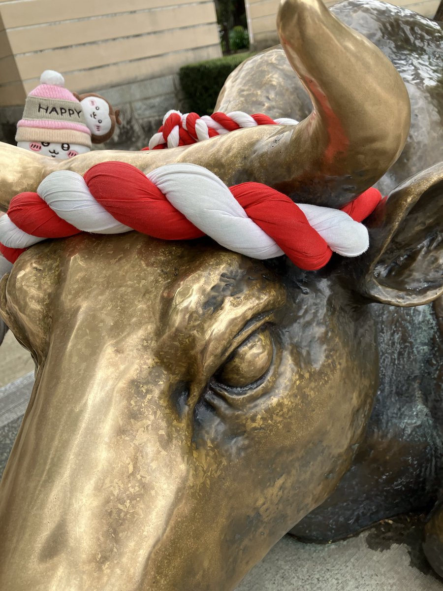 クマ味 tweet media