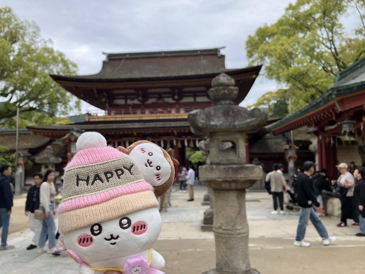 クマ味 tweet media