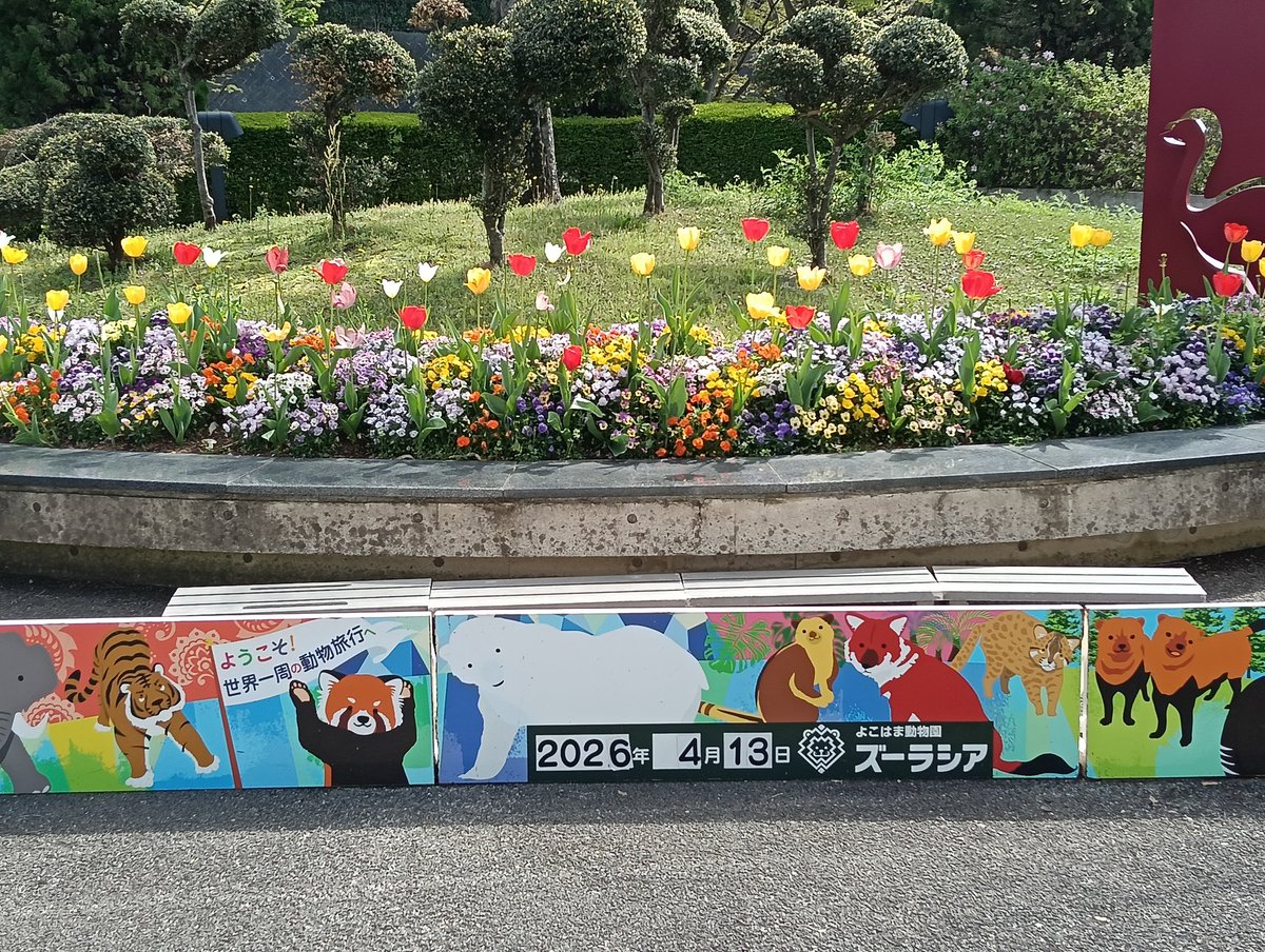 パンダバ tweet media