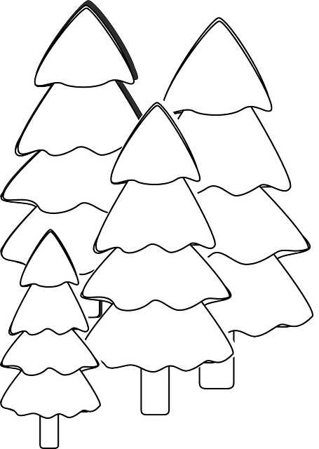 Gabriel Cramer tweet media