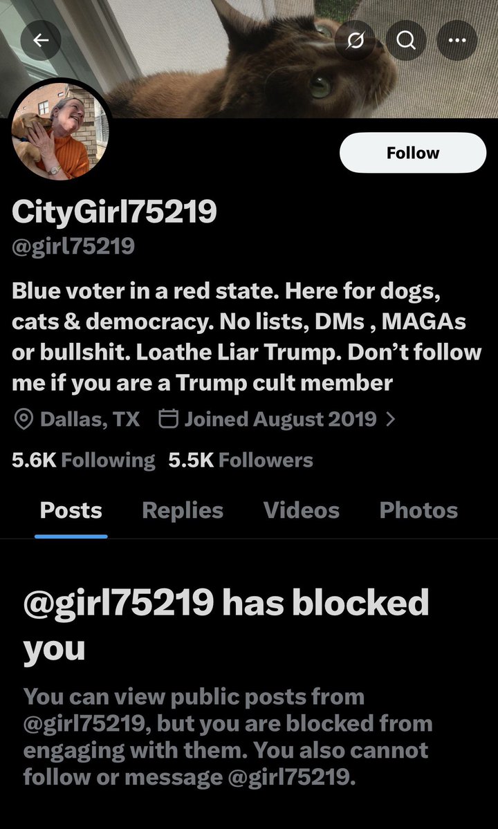 Dean 🇺🇸 tweet media