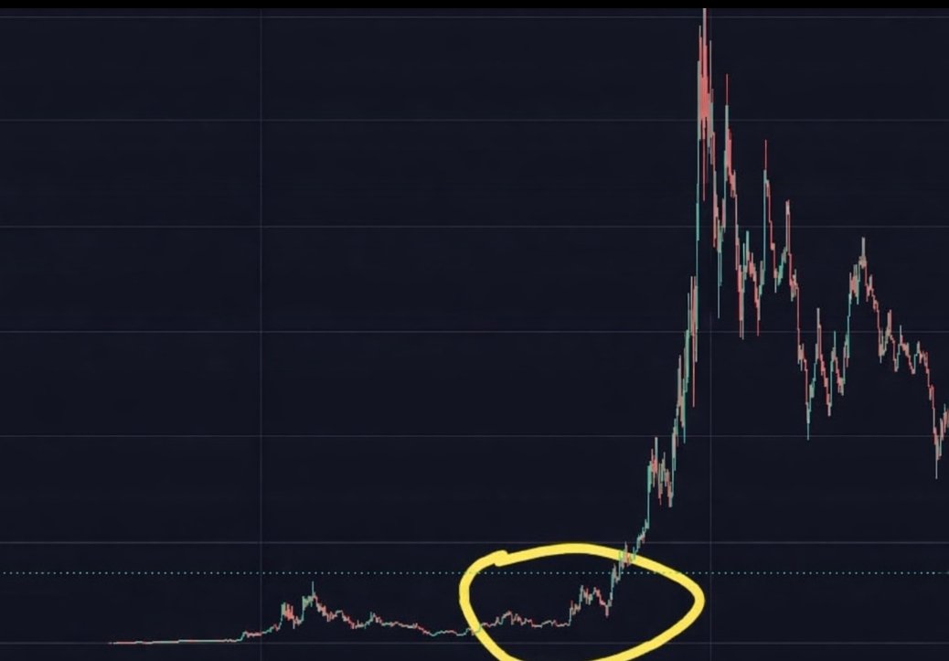 Trending Meme Coins tweet media