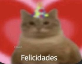 mari 💛 tweet media