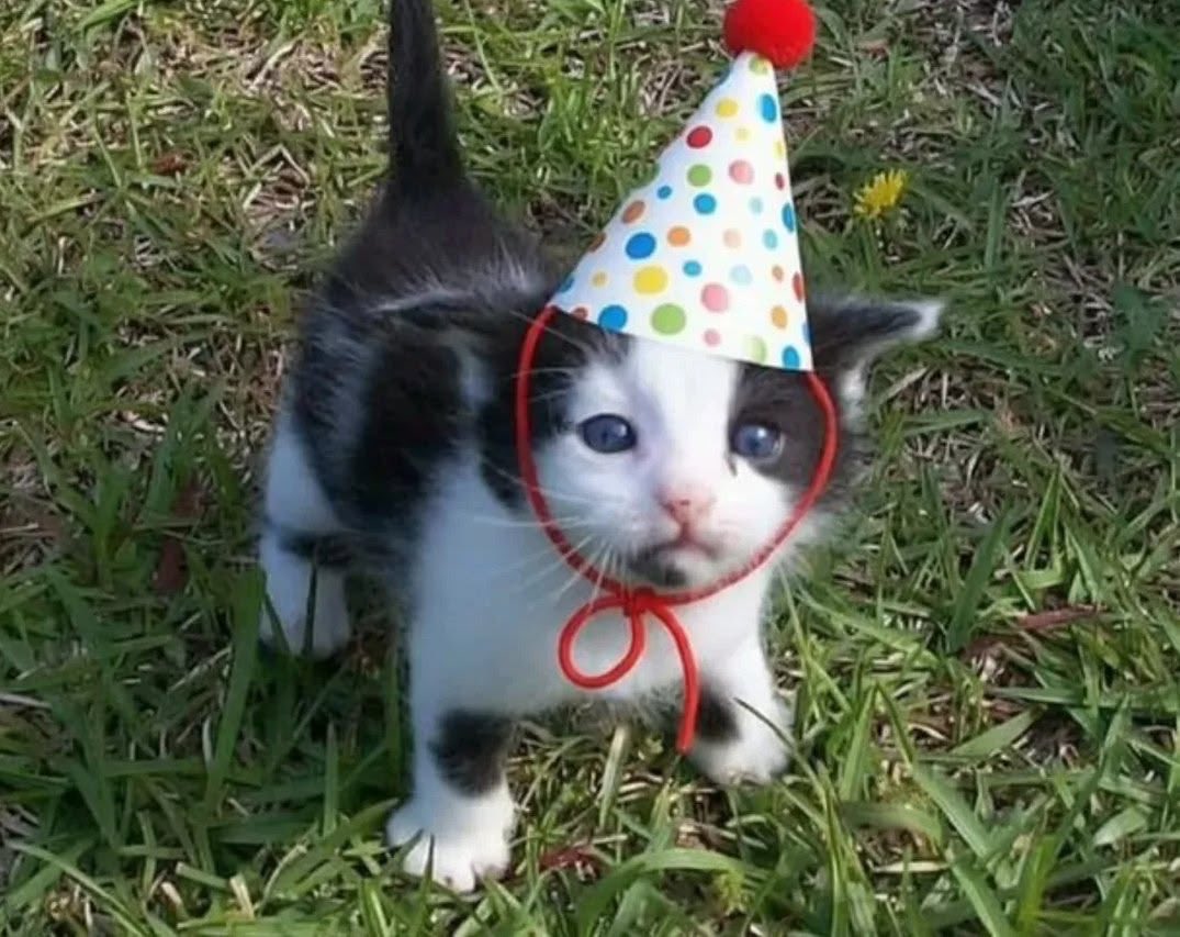 mari 💛 tweet media