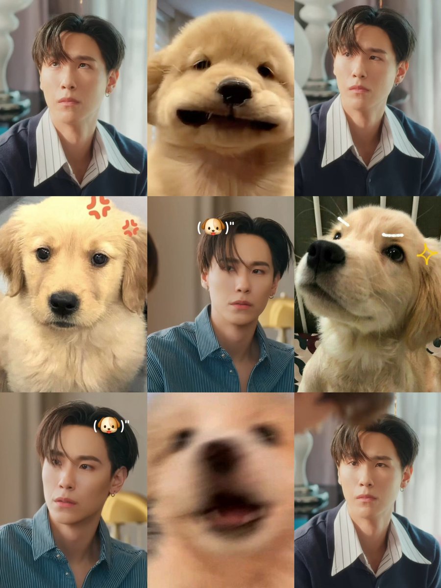 bennieee29's tweet photo. ‘ จ๋องแจ๋งแต่พยายามเจ๋งแจ๋วอยู่ 🐶 ! ’

#MyRomanceScammerEP11 https://t.co/RhfiNxeWp6