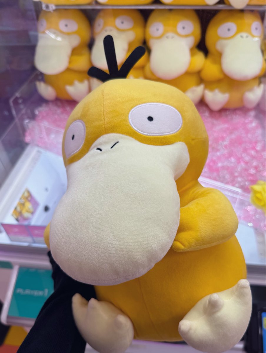 風海 ふみ tweet media