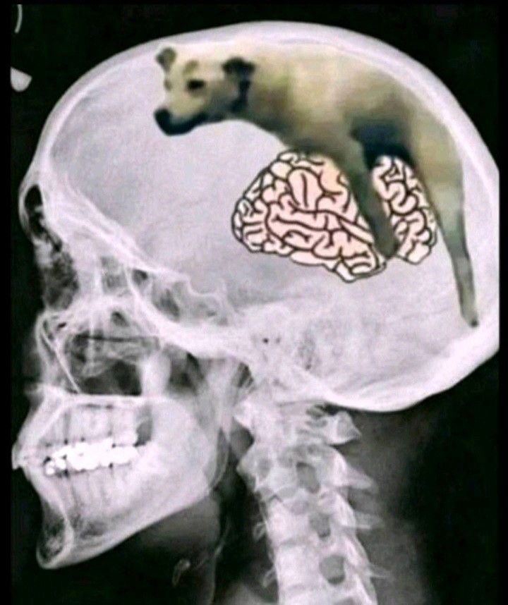 𝕽𝖔𝖉𝖒𝖆𝖓 𝕽𝖊𝖉 tweet media