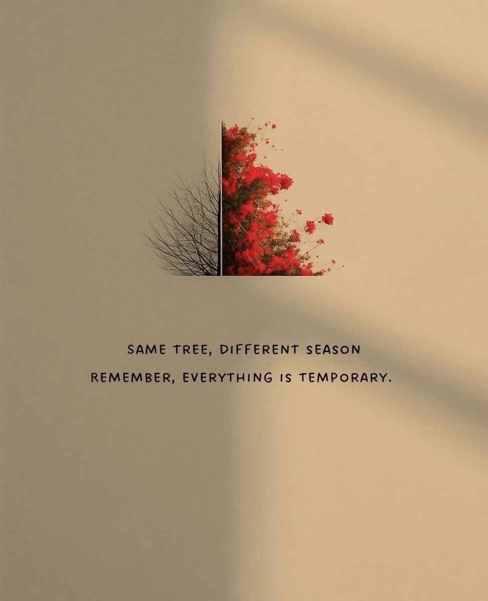 IsmaatM's tweet image. Holding onto an optimistic perspective 💫

#Hope