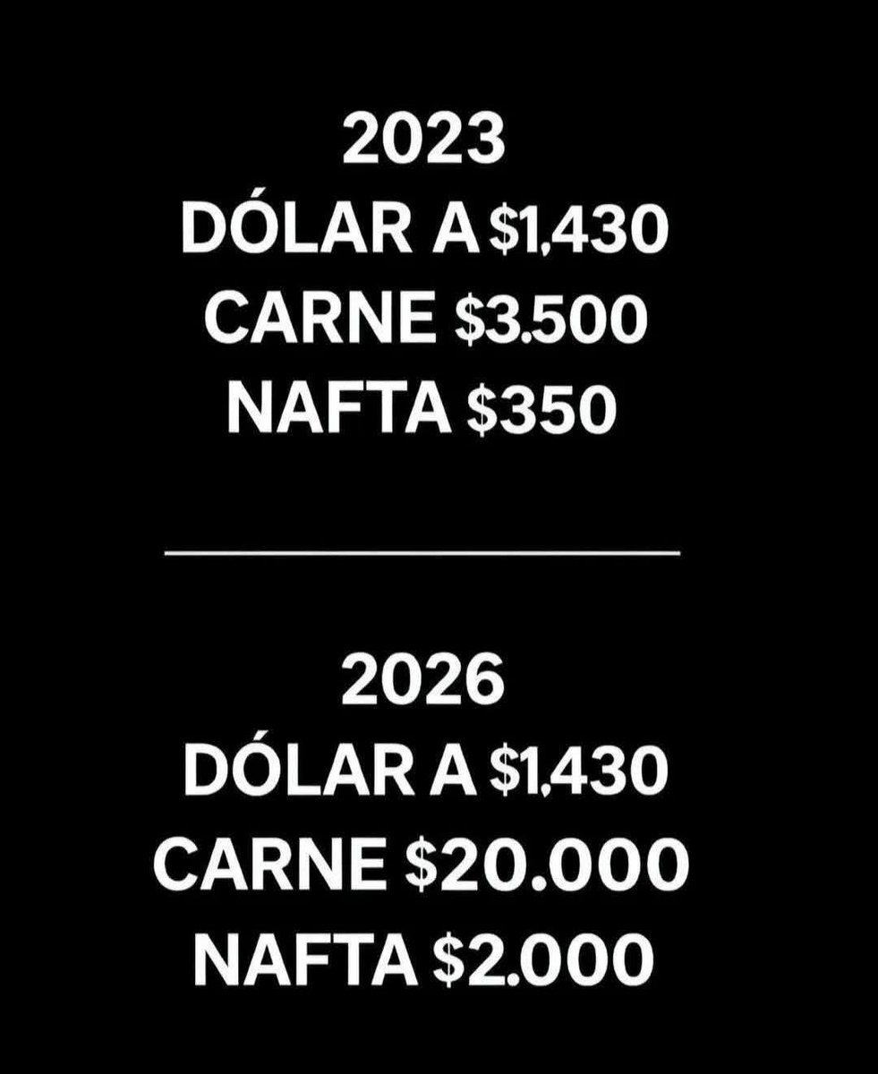 monicafecito💛 tweet media