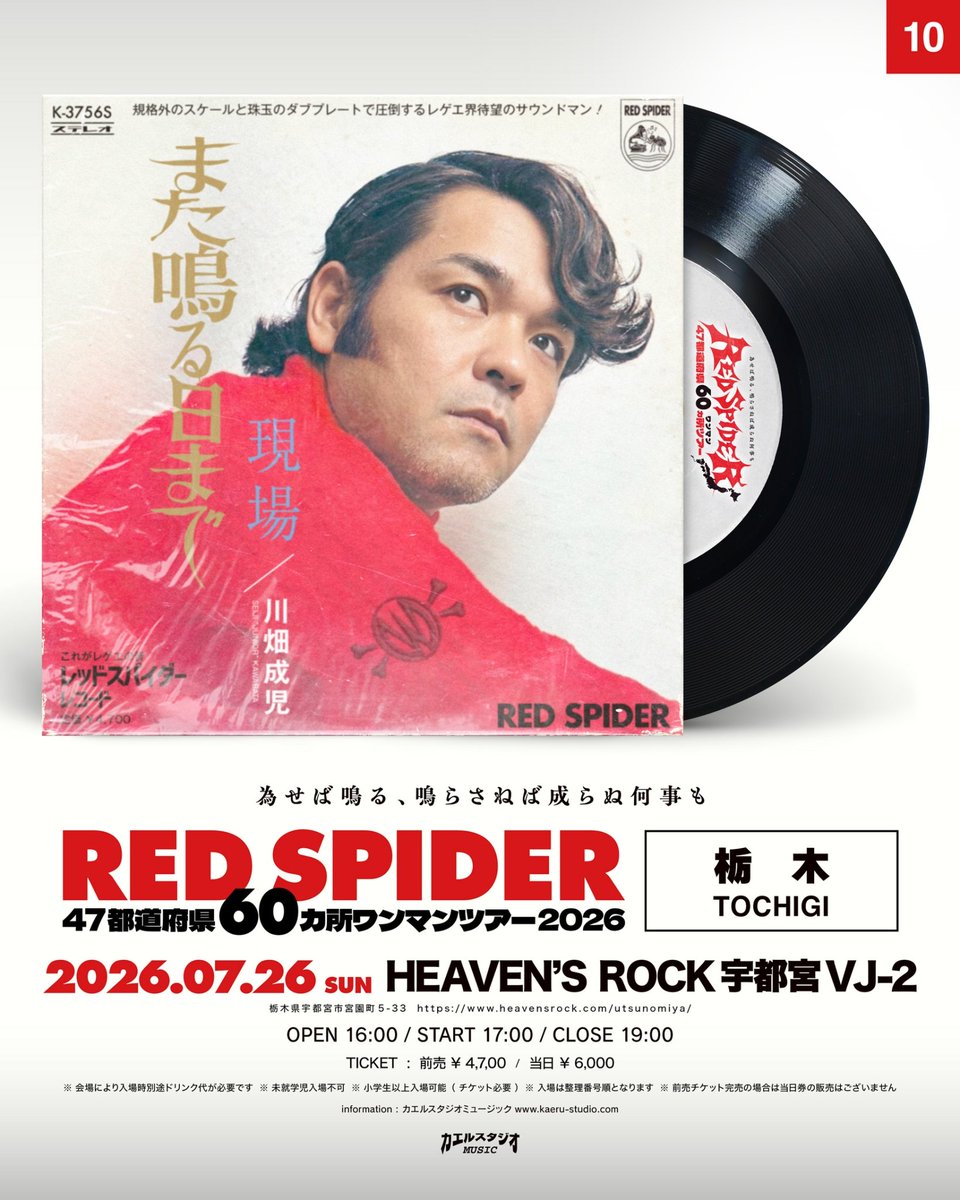 カエルスタジオ🐸 tweet media