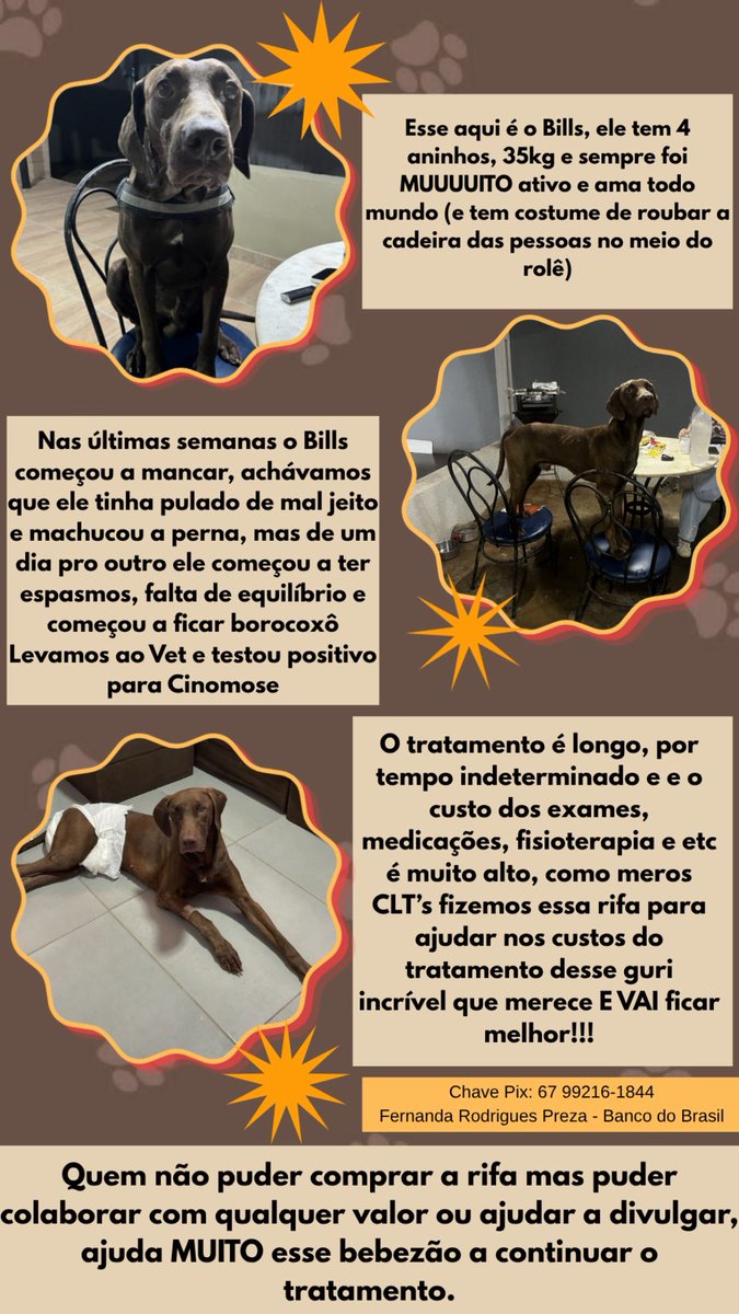 berkaialf's tweet photo. Deem rt na rifa pro tratamento do Bills por favo 🙏🏻 https://t.co/AltUz32cp0