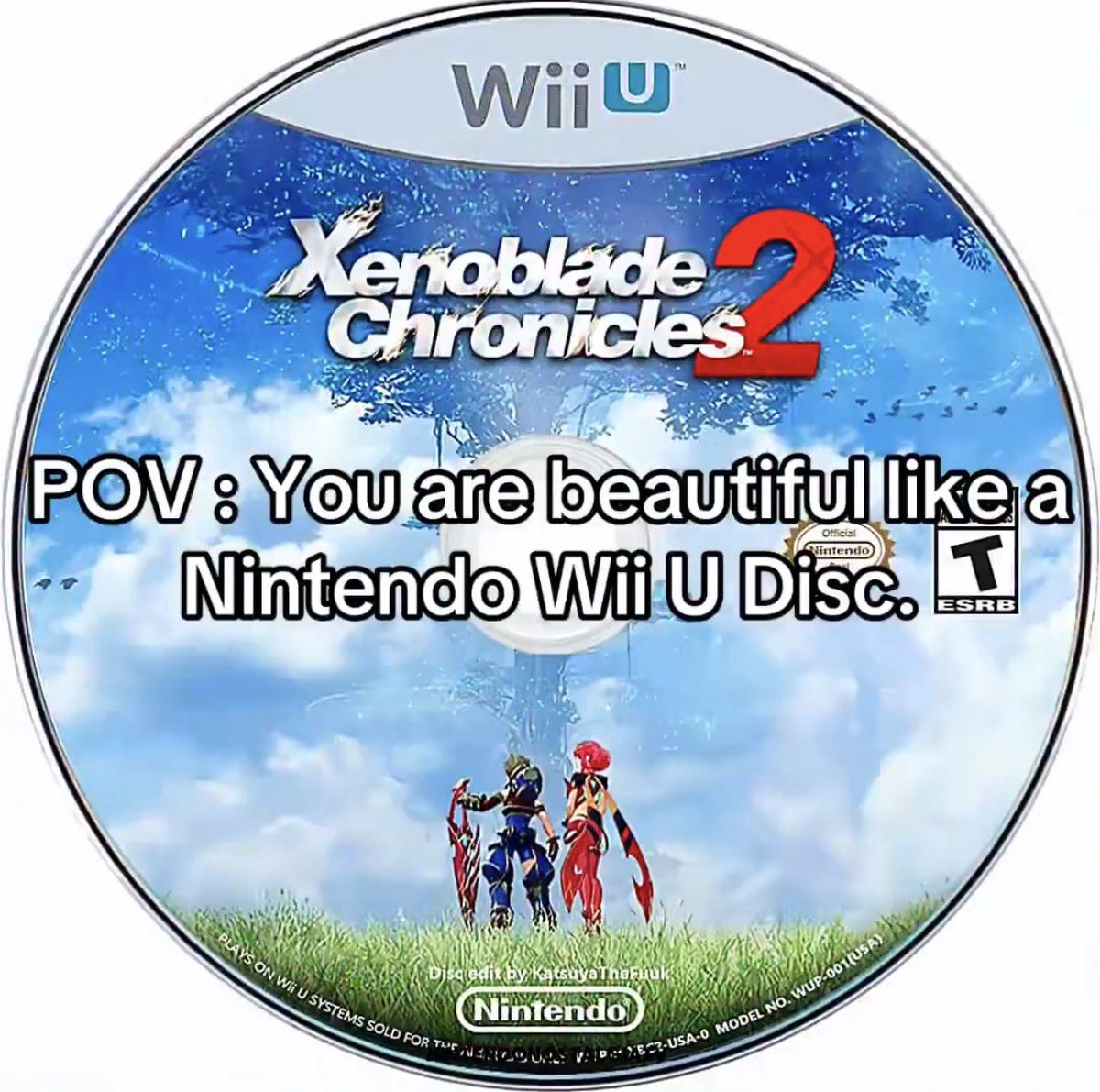 ???
Xenoblade 2 isn't a Wii U game dawg. LMAO