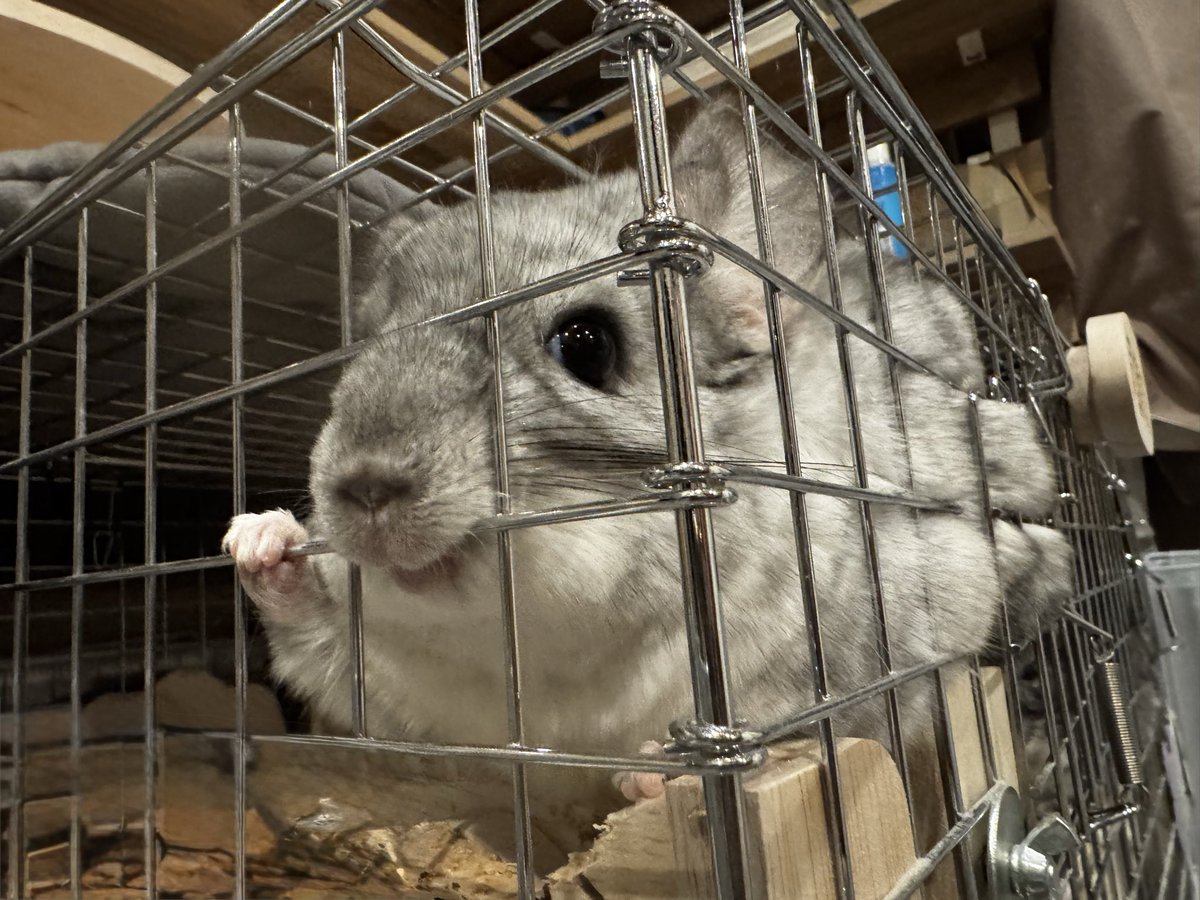 佐藤祐吾 tweet media