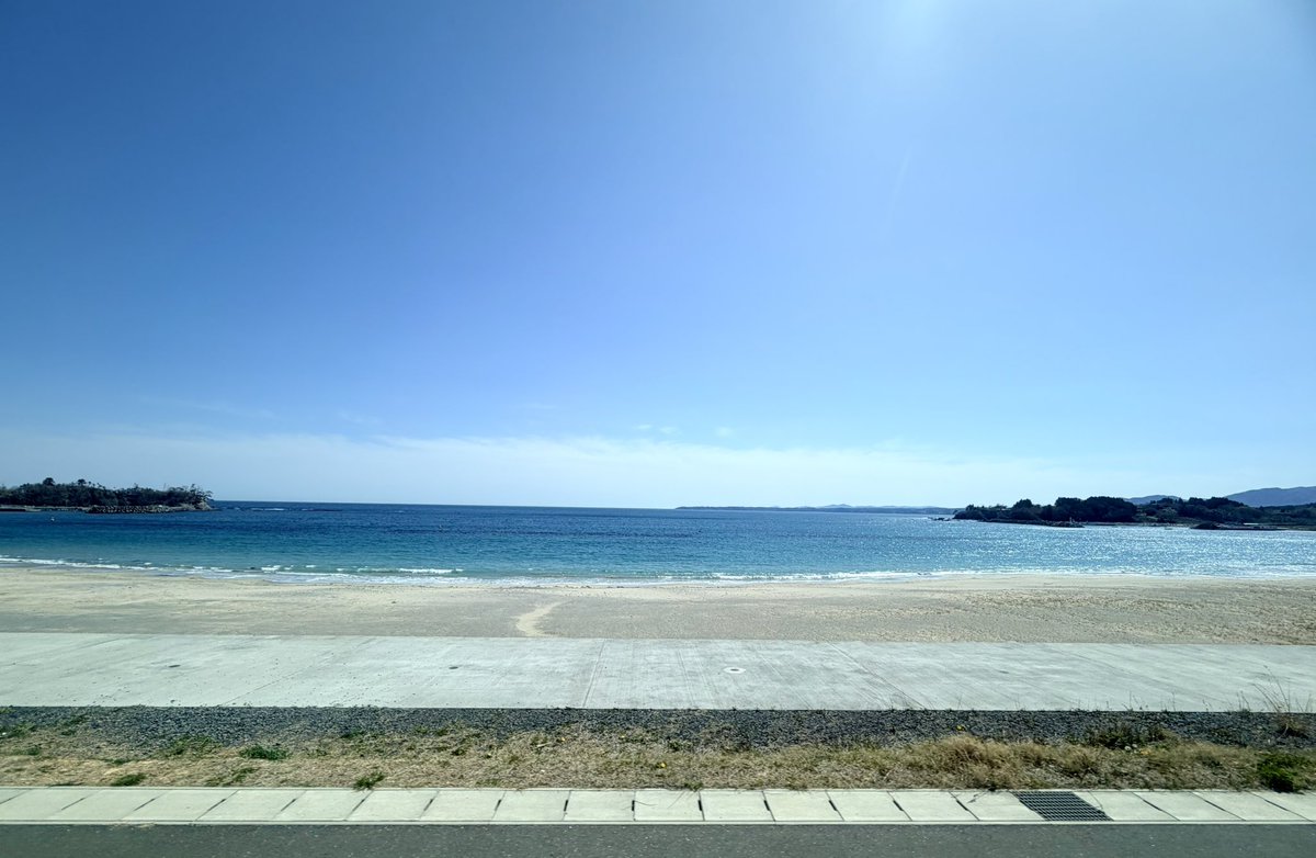 たまご tweet media