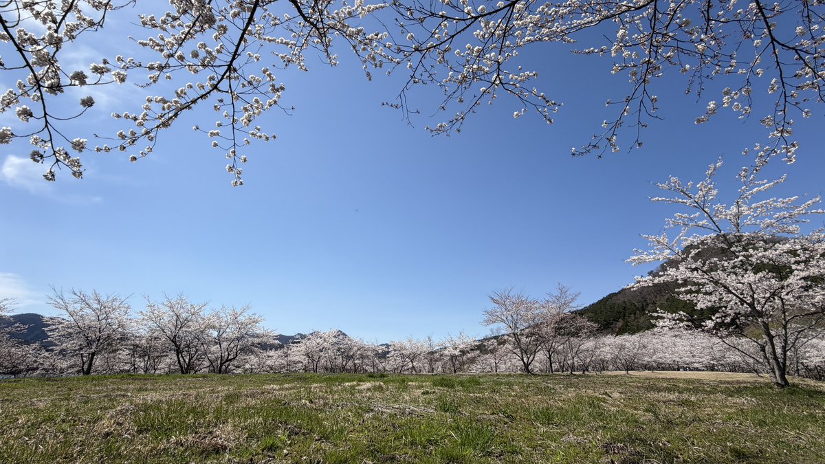 がろーね tweet media