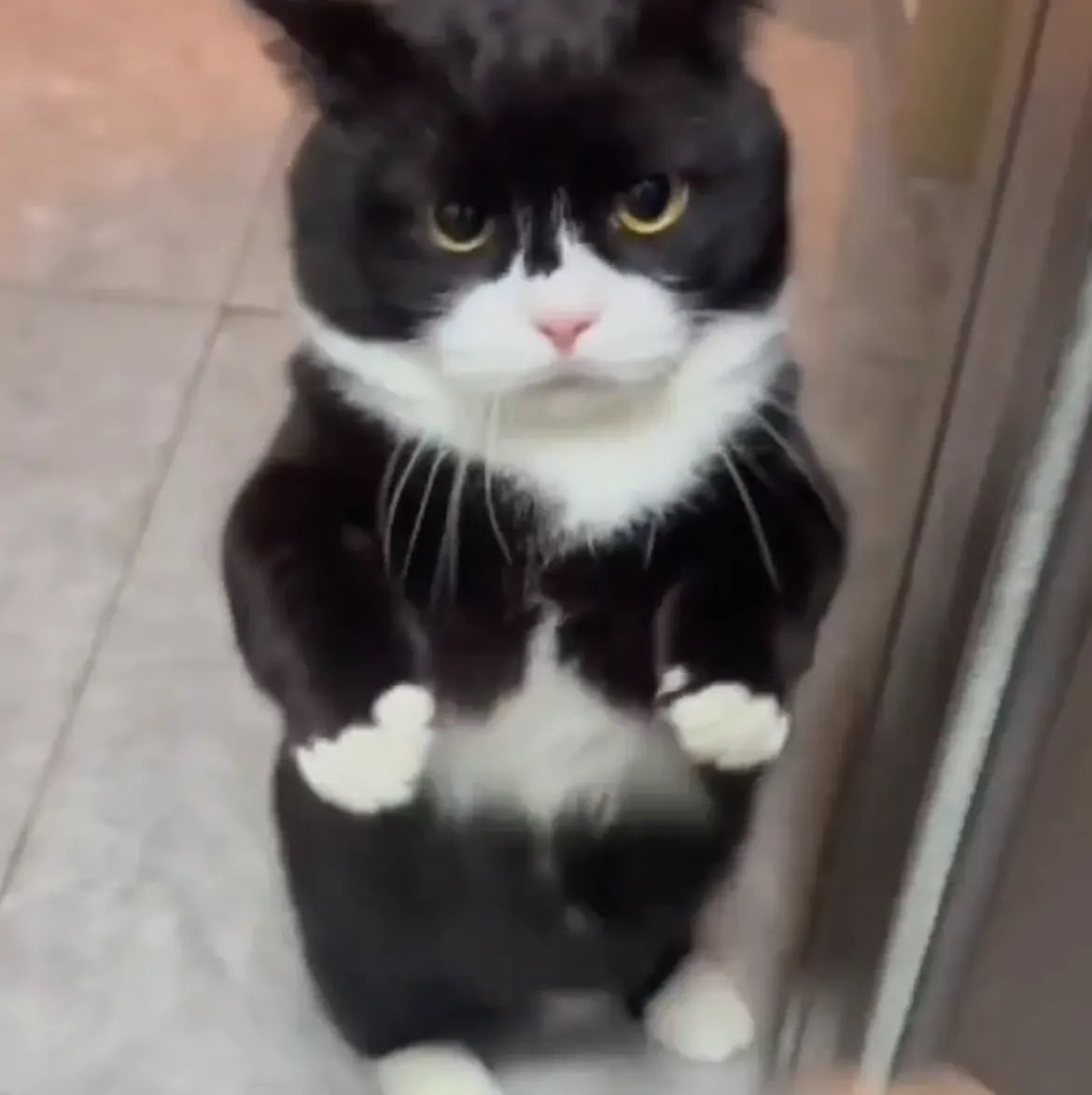 용천혈 tweet media