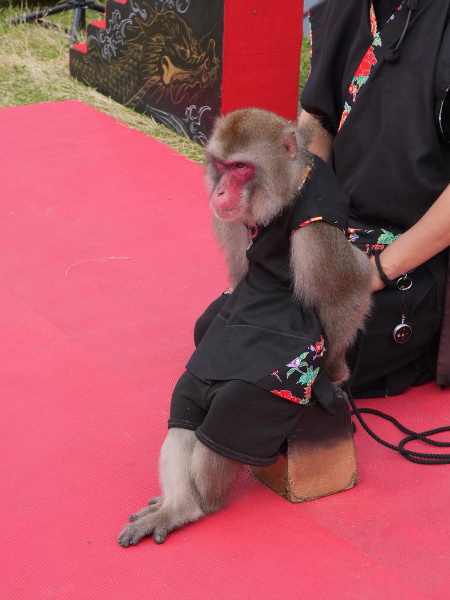 ひであお𓎩𓌉𓇋 tweet media