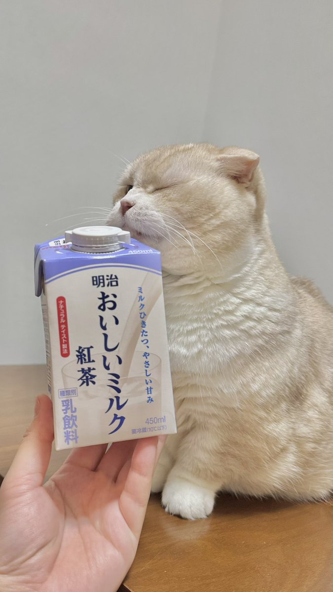 わさびぬこ tweet media