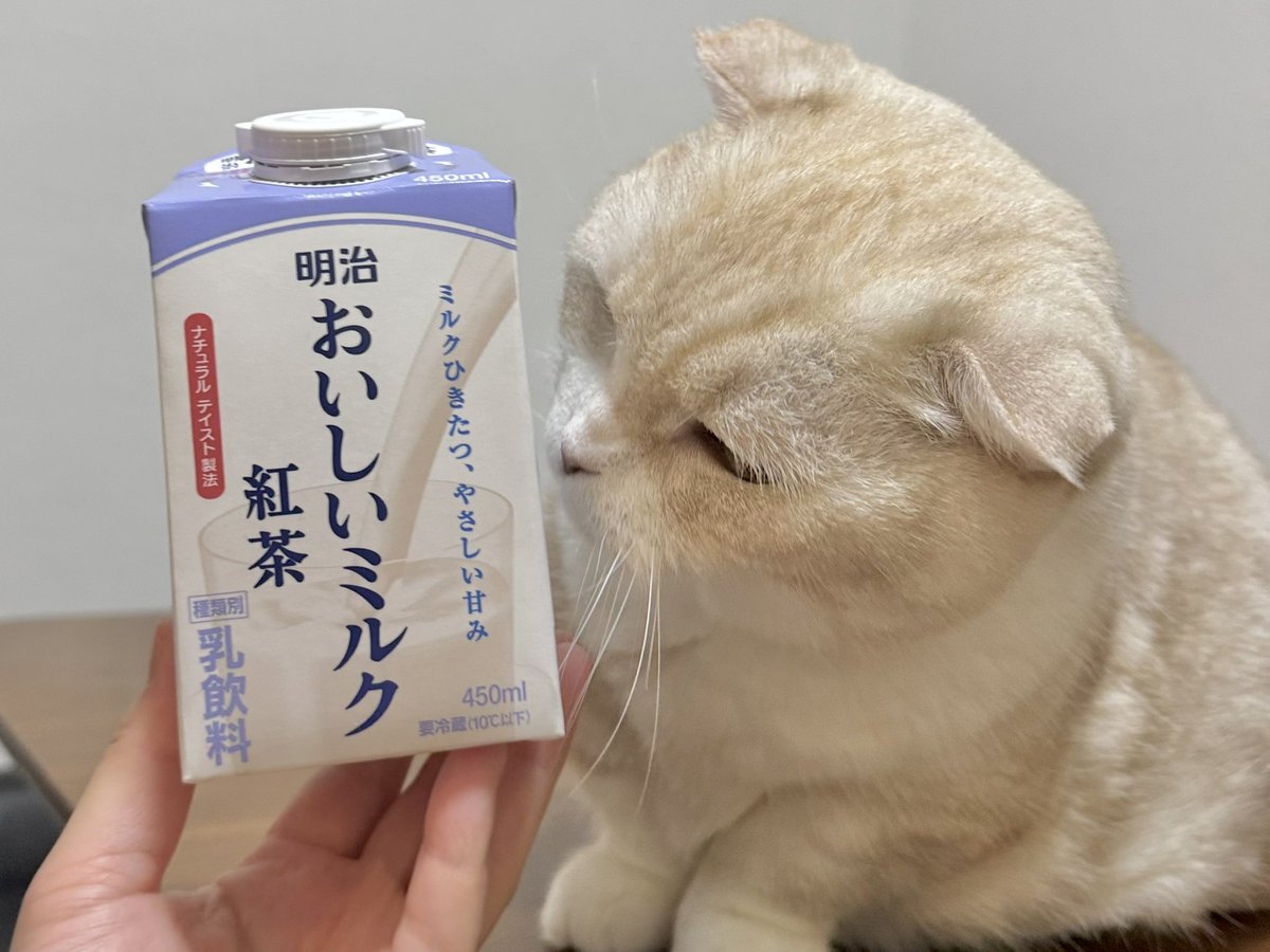 わさびぬこ tweet media