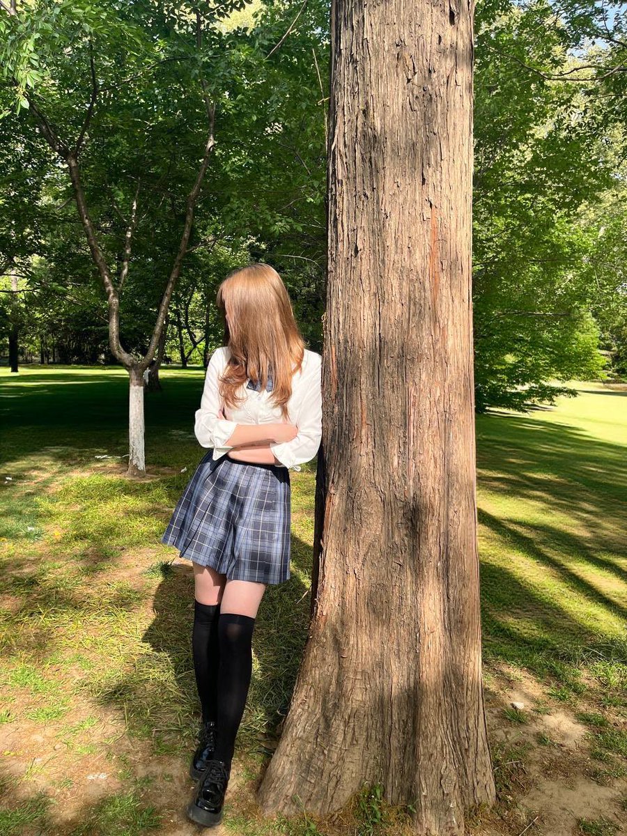 大观园 tweet media