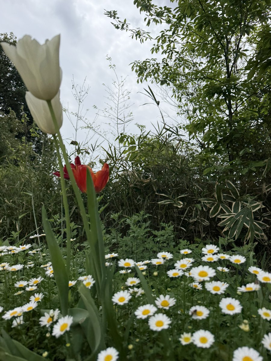 山縣有斗（アクティングコーチ・演出家・脚本家） tweet media