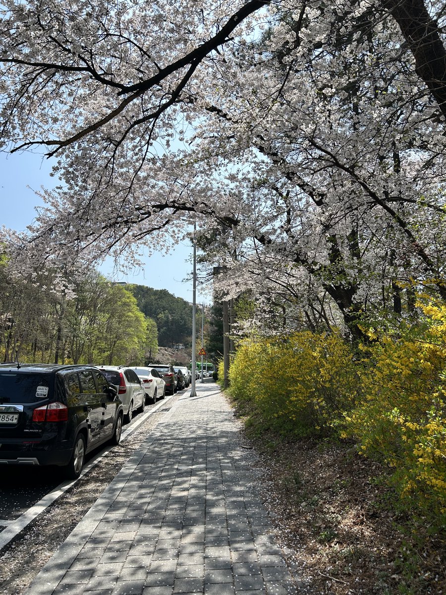 솜구름 tweet media