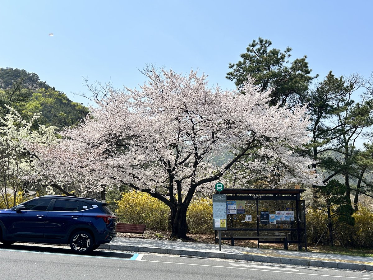 솜구름 tweet media