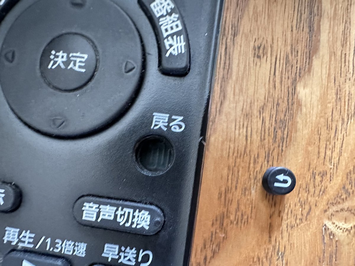 ん？床にナンカ・・・？？

（╹◡╹）何コレー？？？

って、おまえかーーーっ‼️‼️‼️‼️