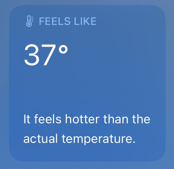 ᴍɪʏᴜ🎐 tweet media