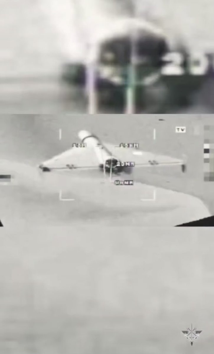 Renard Jean-Michel tweet media