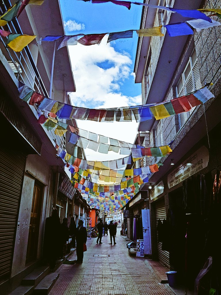 Cloud Shutterfly tweet media