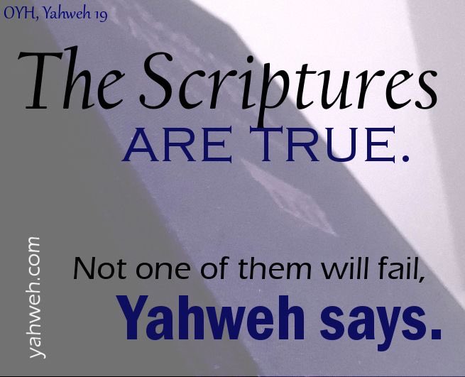 The House of Yahweh tweet media