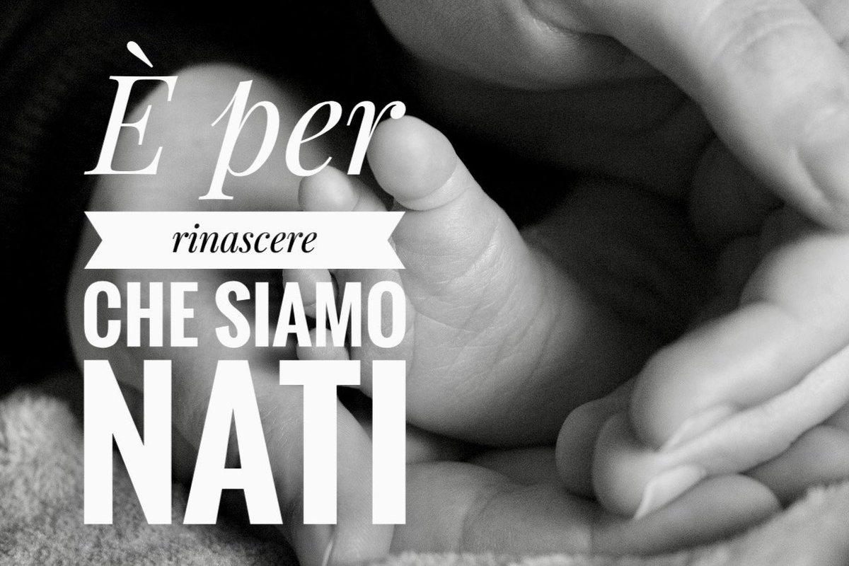 Beppe Bortoloso tweet media