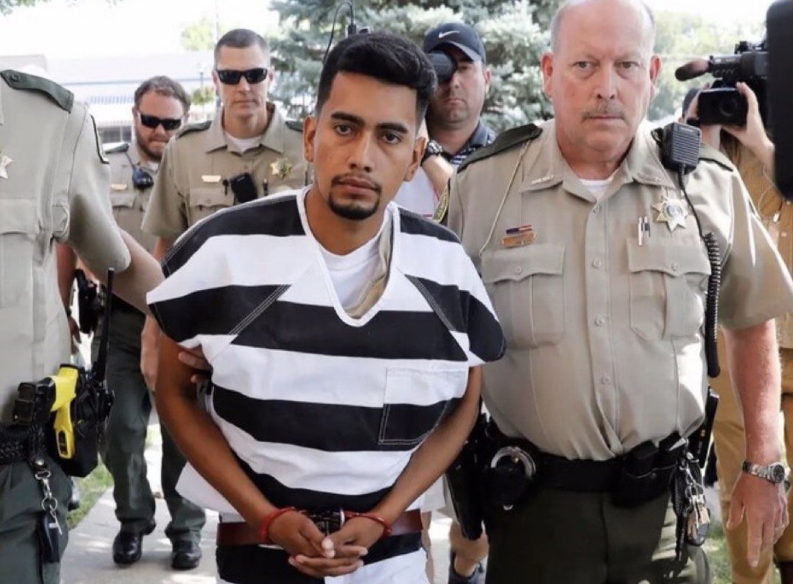 Anti Left Memes tweet media