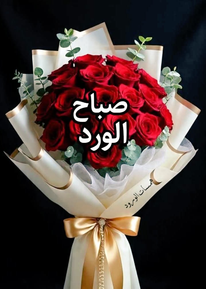 يأتي الصبـاح  فيـأتي معـه الأمـل والحب و الحيـاة .. 
 آللَّهُــمَّ اجعله صبـاحاً نقيـاً جابـراً للقـلوب و الخـواطر .. 
#صباح_الورد
#صباح_الخير_والسعادة 
#يخبرني_الصباح