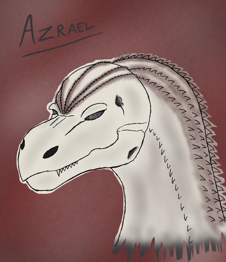 Peki (Emrepilled) tweet media